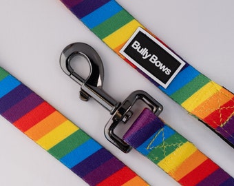 Pride Dog Leash - Rainbow Flag Pride Leash-Strong Dog Leash - Dog Accessories - Durable Dog Leash - New Dog Gift - Training Leash - Dog Lead