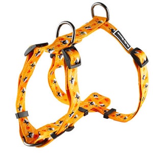 May include: Orange dog harness with black and white dog illustrations. The harness has adjustable straps and a clip for attaching a leash. The harness is labeled "Show Dogs".