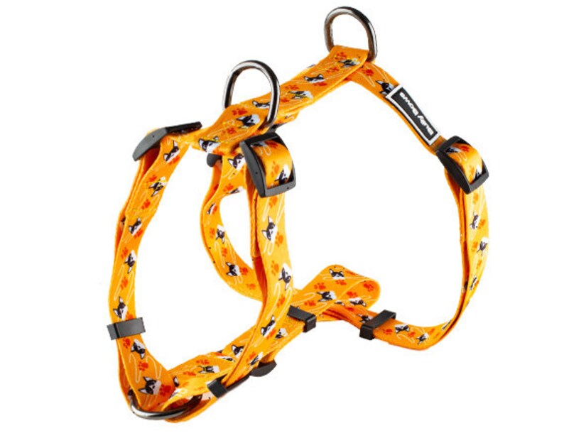 May include: Orange dog harness with black and white dog illustrations. The harness has adjustable straps and a clip for attaching a leash. The harness is labeled "Show Dogs".