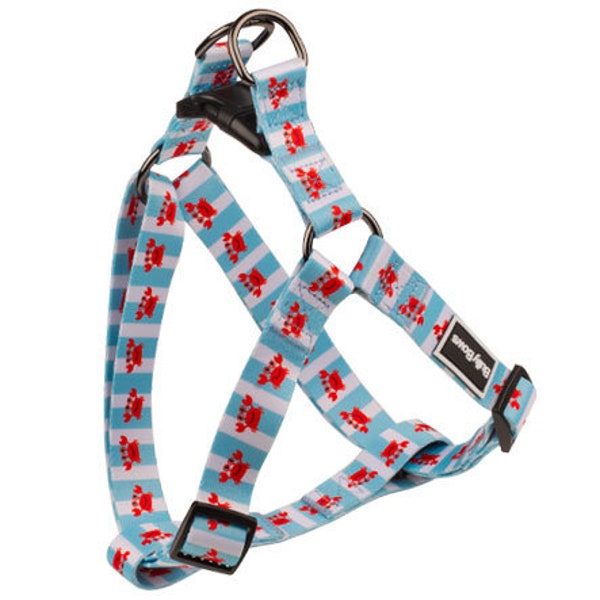 Crab Dog Harness - Beach Dog Harness - Beach Dog Accessories - Strong Collar - Pet Accessories - Trendy Pet Harness - Dog Vest