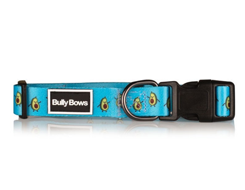 Dog Collar Dog Collar Pet Collar Avocado Dog Collar -Summer Dog Collar Puppy Collar New Dog Gift