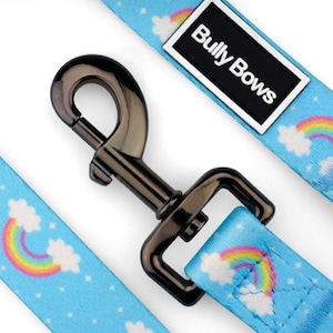 Rainbow Dog Leash with Padded Handle & Durable Lead - Strong Dog Accessories, Perfect Gift for New Dog Owners