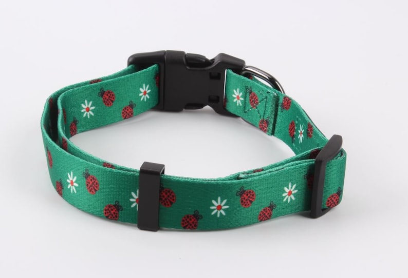 Ladybug Dog Collar and Leash Combo Leash and Collar Set Etsy