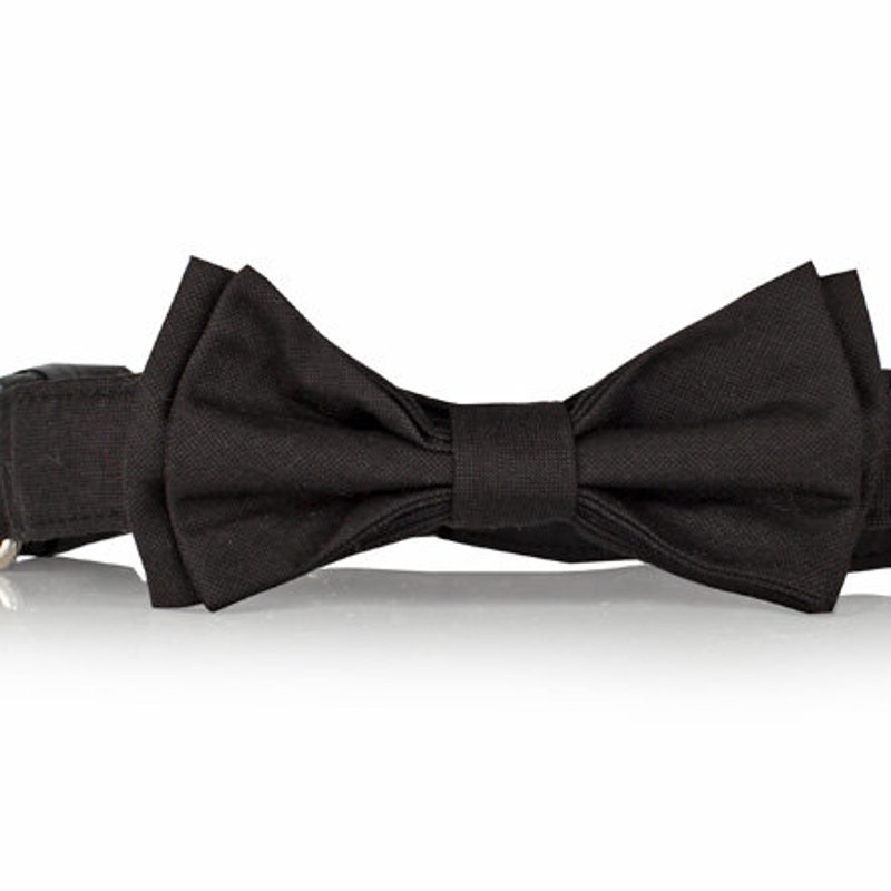 small dog collar with bow tie