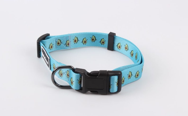 Dog Collar Dog Collar Pet Collar Avocado Dog Collar -Summer Dog Collar Puppy Collar New Dog Gift