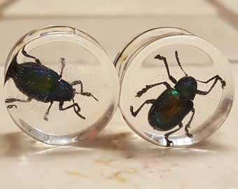 Double Flare Beetle Inlay Bug Plugs Pair of 1 /& 3//16 Inch 30mm