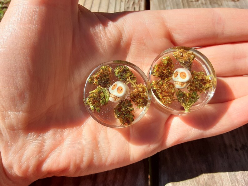 REAL NUG and Howlite SKULL Plugs 30mm pairhandmade Etsy