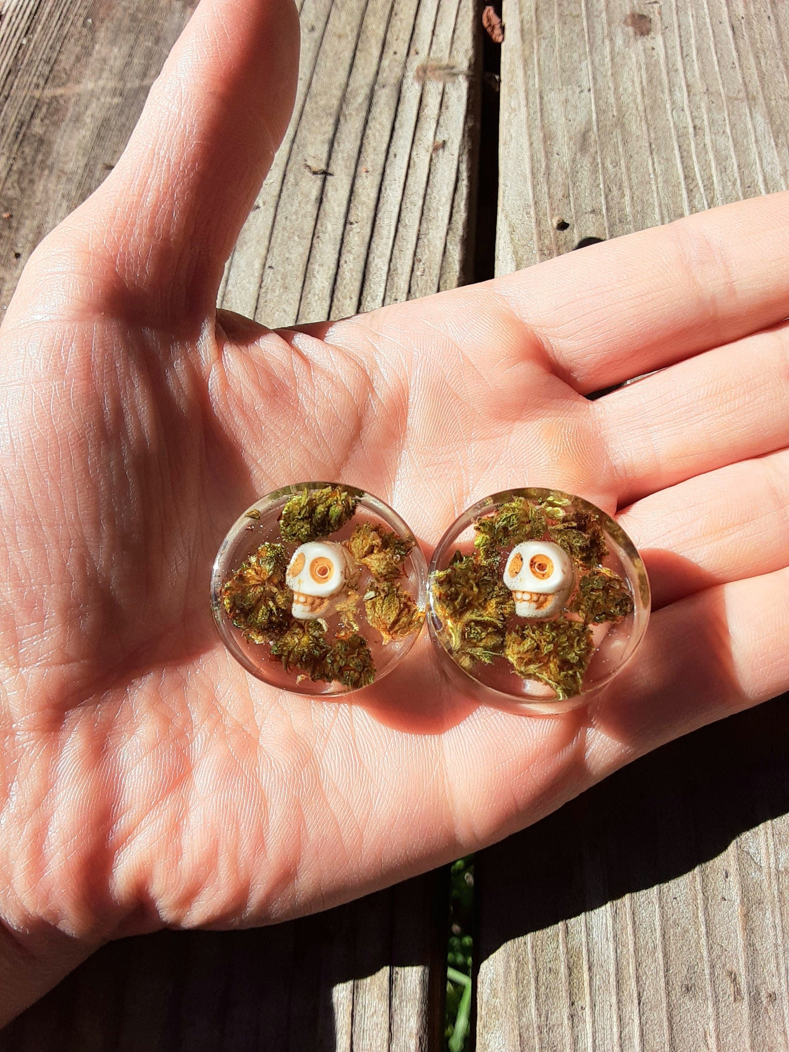 SKULL and Real NUG Plugs 24mmpair Etsy