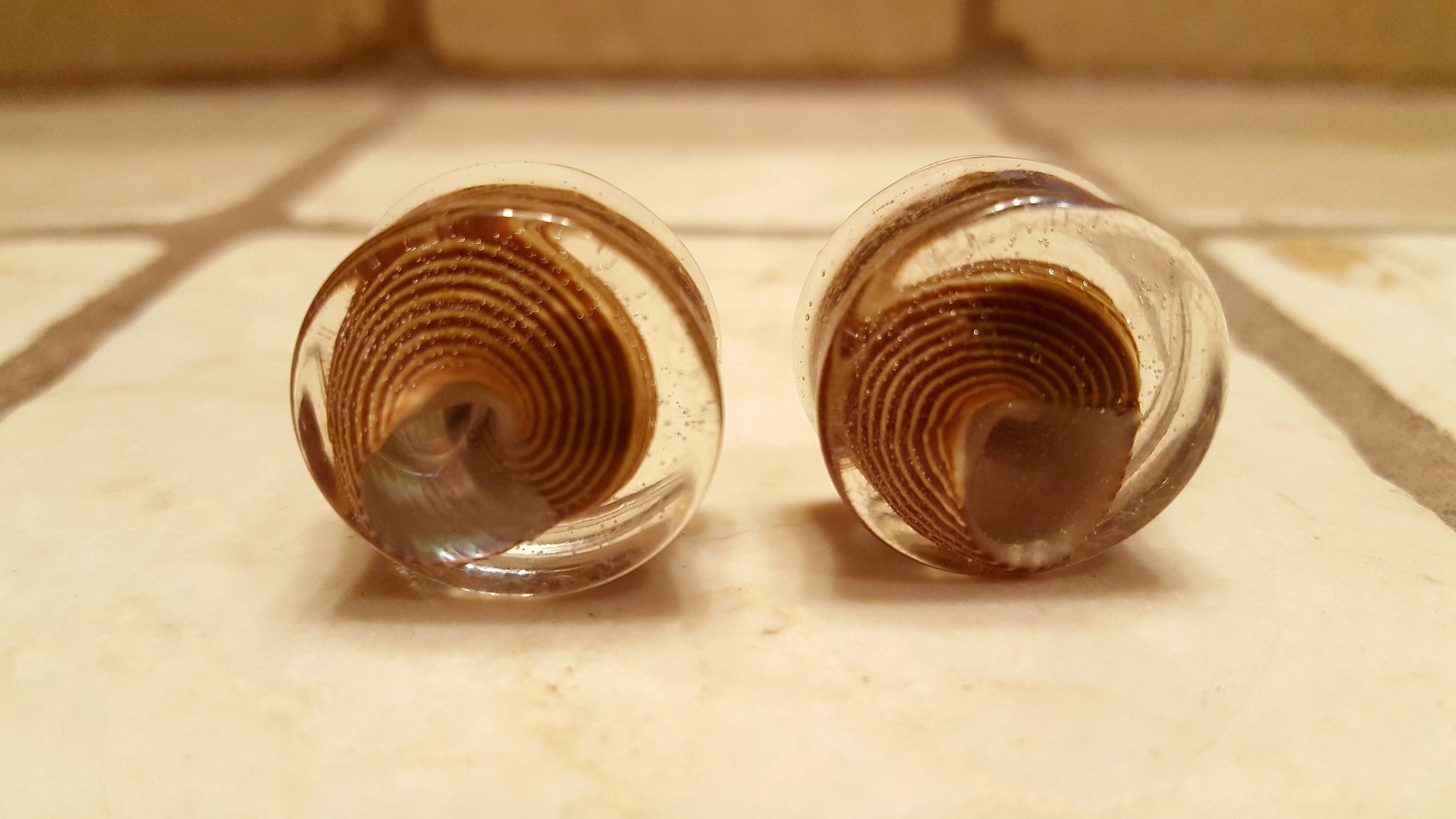 REAL SEASNAIL SHELL Plugs 20mm(13/16