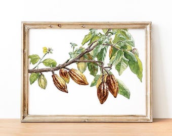 Brown Cocoa Wall Art Print, Cocoa Plant Watercolor Painting, Botanical Decor