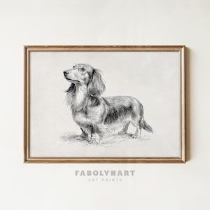 Vintage Long Haired Dachshund Wall Art Print, Minimalist Doxie Sketch Painting, Boho Neutral Nursery Decor