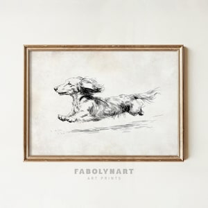 May include: A framed black and white illustration of a running dachshund dog. The artwork is in a vintage style, with the dog's fur and movement detailed in fine lines. The frame is gold-colored, and the print has the text "FABOLYNART ART PRINTS" at the bottom.