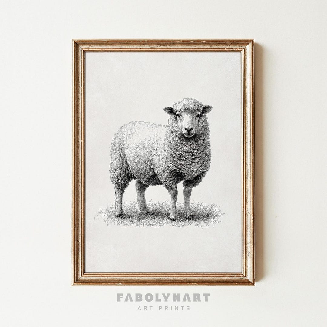 Vintage Sheep Wall Art Print, Rustic Farm Animal Sketch Painting Decor ...