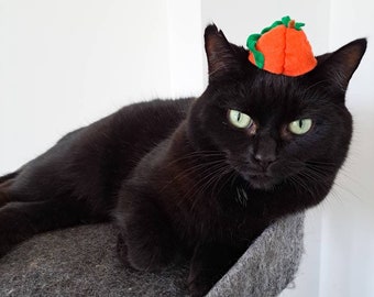 Pumpkin Spooky Halloween Small Pet Hat