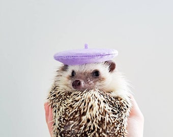 Lilac Beret Pet Hat