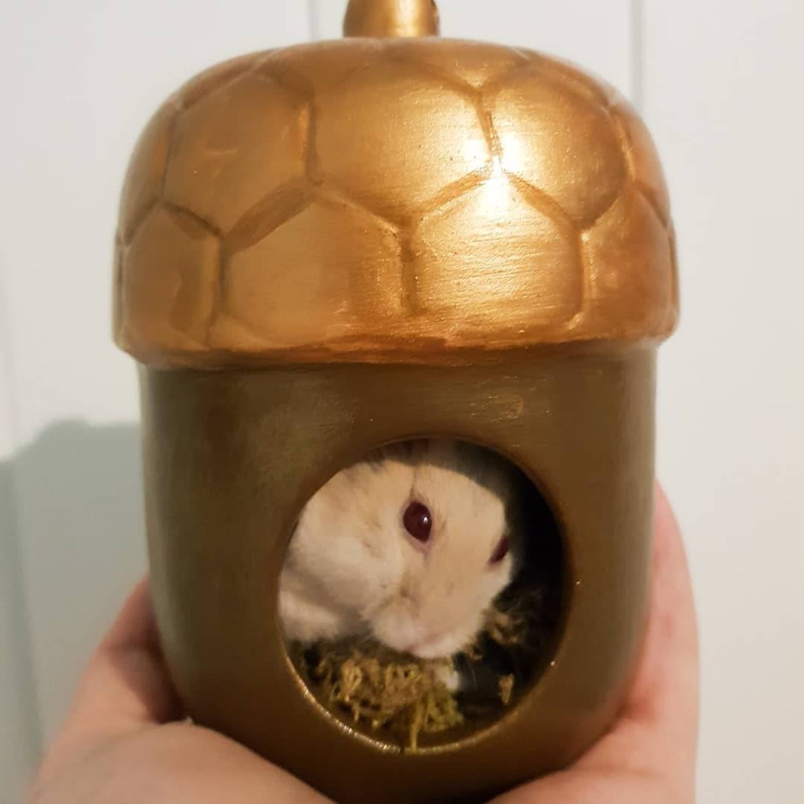 hides for hamsters hides for hamsters