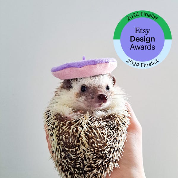 Pastel Small Beret Pet Hat