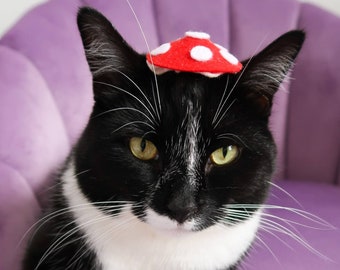 Toadstool Felt Hat