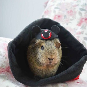 Small Clubhouse Mouse Ear Hat
