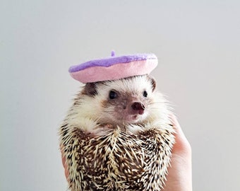 Pastel Beret Pet Hat