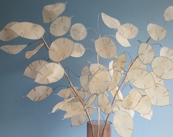 Lunaria branches, Crepe paper lunaria, Lunaria stems, Honesty money plant, Silver dollar plant