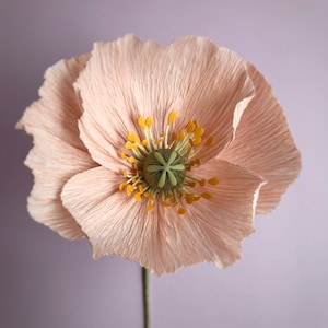 Paper poppies, Crepe paper flowers, Bridal bouquet, Weiding bouquet, Fake poppies, Paper flowers Light coral