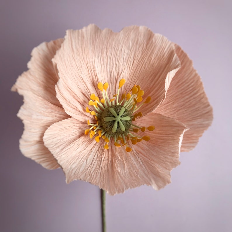 Paper poppies, Crepe paper flowers, Bridal bouquet, Weiding bouquet, Fake poppies, Paper flowers Light coral