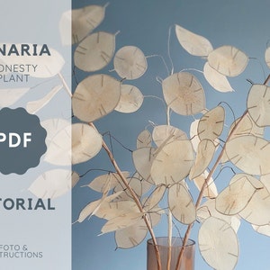 Lunaria di carta crespa, tutorial sui fiori in PDF, pianta di onestà, pianta di denaro, fiore fai da te, fiori secchi, tutorial facile sui fiori, fiori artificiali