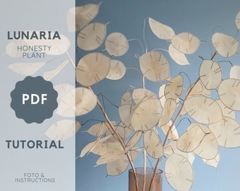 Crepe paper lunaria, PDF flower tutorial, Honesty plant, Money plant, DIY flower, Dried flowers, Easy flower tutorial, Artificial flowers