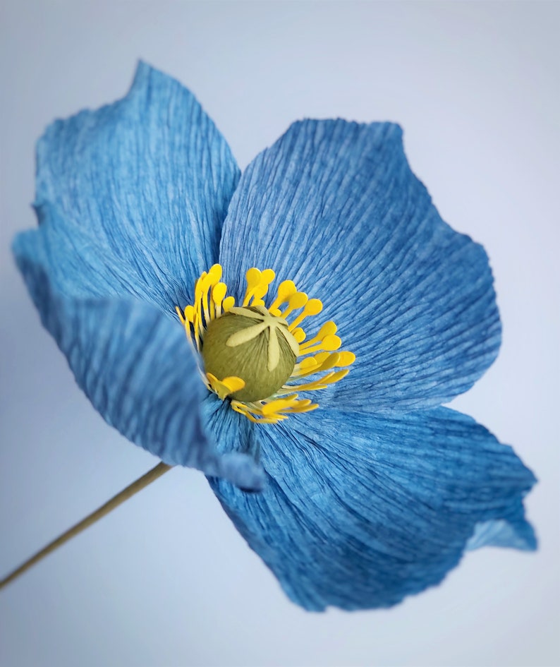 Paper poppies bouquet, Crepe paper poppy, Blue poppies, Bridesmaid bouquet, Paper flower bouquet image 9