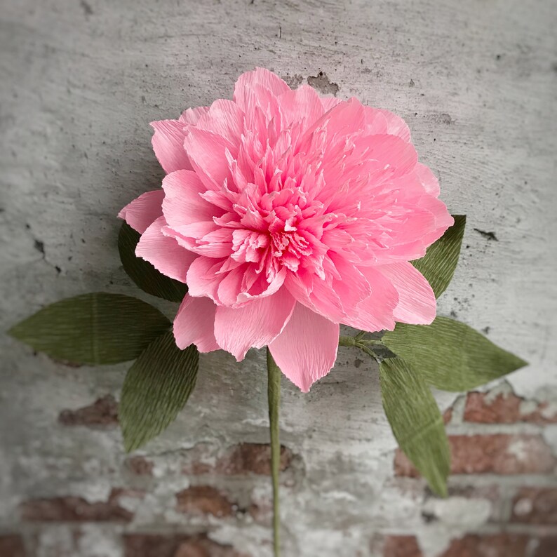 May include: A pink paper flower with green paper leaves. The flower is a peony with many layers of petals.