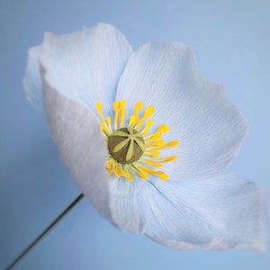 Paper poppies bouquet, Crepe paper poppy, Blue poppies, Bridesmaid bouquet, Paper flower bouquet image 7