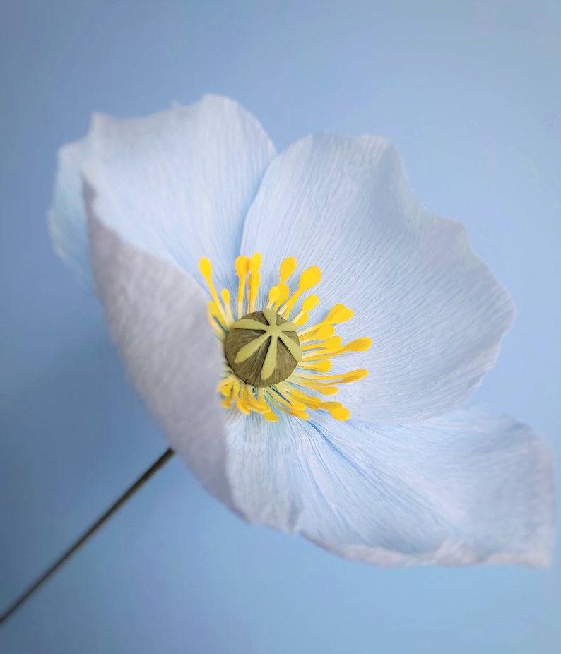 Paper poppies bouquet, Crepe paper poppy, Blue poppies, Bridesmaid bouquet, Paper flower bouquet image 7