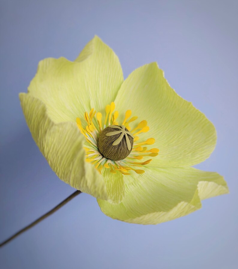 Paper poppies bouquet, Crepe paper poppy, Blue poppies, Bridesmaid bouquet, Paper flower bouquet image 8