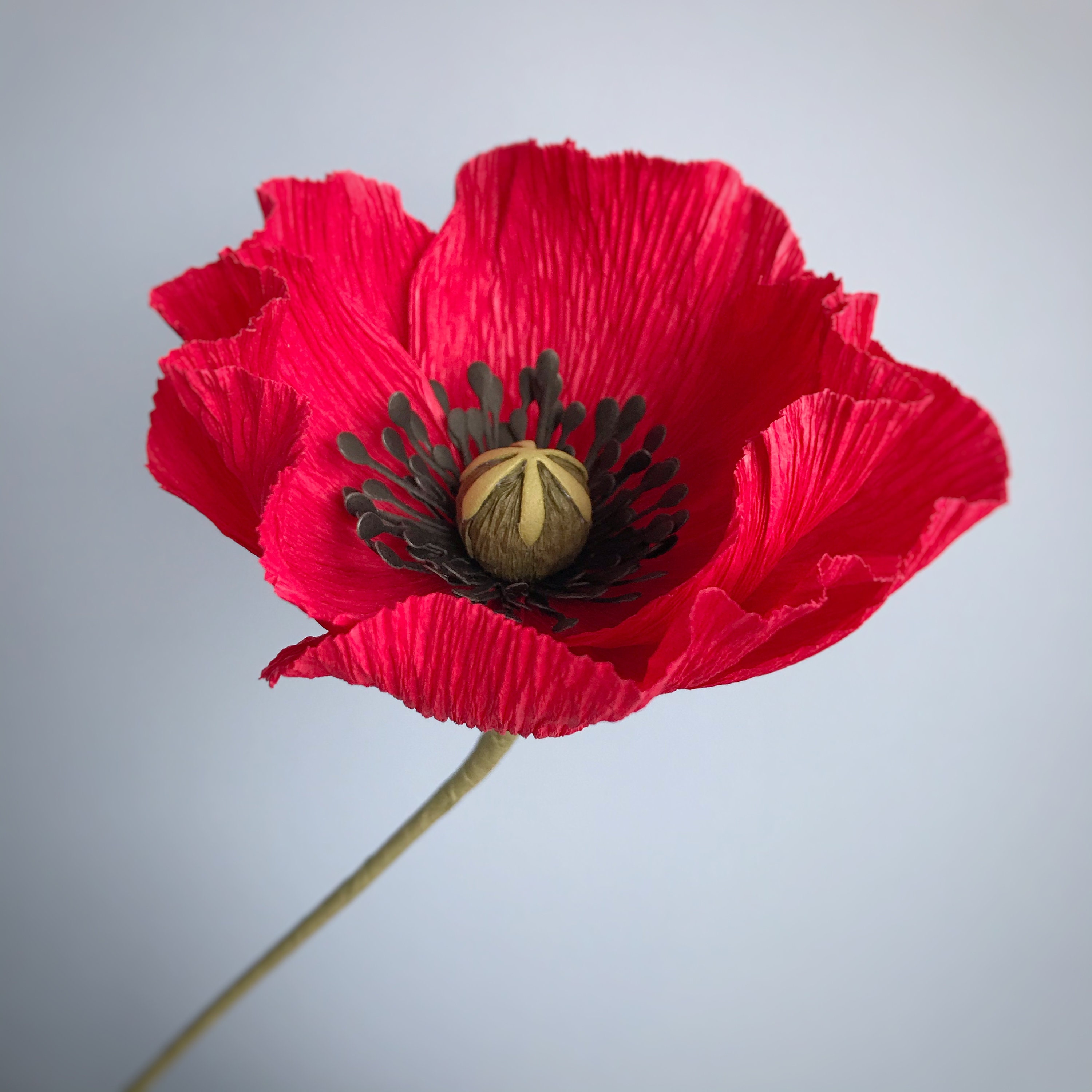 Crepe Paper Red Poppies Bouquet Crepe Paper Flowers Poppies Etsy