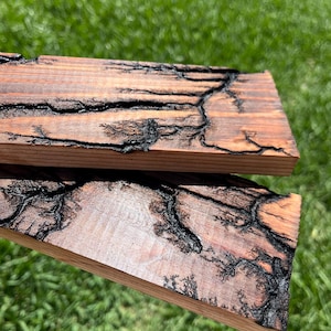 May include: Two wooden planks with a unique fractal pattern burned into the surface. The wood has a reddish-brown hue with dark, intricate black lines resembling lightning. The planks are displayed against a blurred green background.