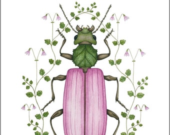 Beetle Print, Giclee print, Watercolour, A4, A3