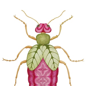 Beetle Card, watercolour, A5, digital print