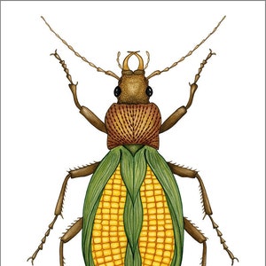 Beetle Card, watercolour, A5, digital print