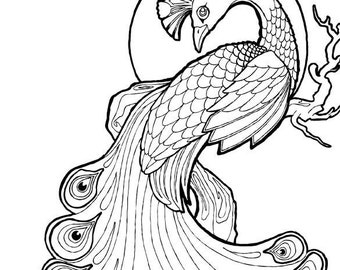 Peacock - Colouring page