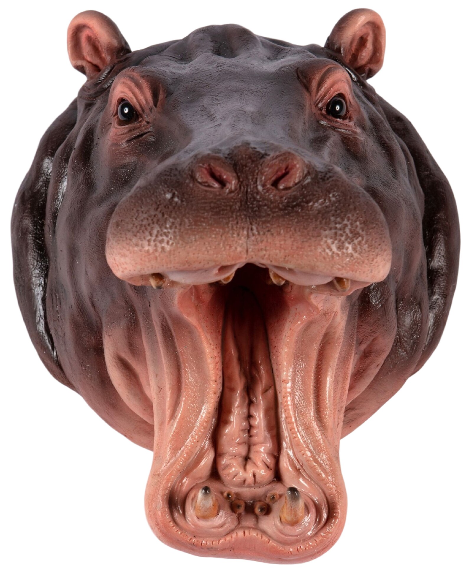 Réaliste Hippo Head Garden Wall Ornament Home Realistic Resin Etsy