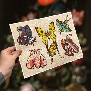 Traditional Moth Tattoos Tattoo Flash Sheet Print Moth Flash Sheet Traditional Flash Sheet Tattoo Art Neo Traditional Tattoos Unique Gift