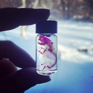 Real Preserved Diaphonized Mouse with Glass Jar - Wet Specimen - SEE CARE INSTRUCTIONS - Oddities and Curiosities