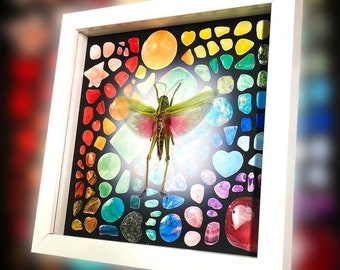 Gafanhoto rosa taxidermizado com fundo de cristal arco-íris impresso.