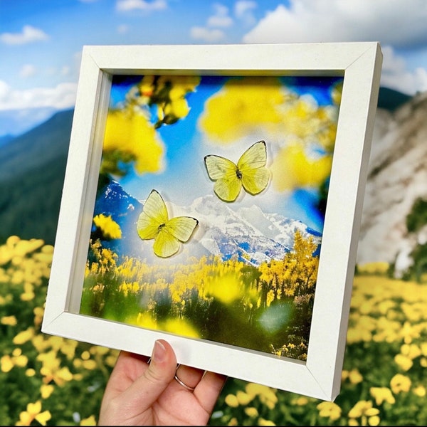 Taxidermy Yellow Butterfly with Printed Mountain Flowers Background - Gothic Home Decor - Oddities and Curiosities Art