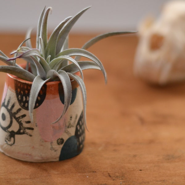 SHOW OF HANDS Exclusive! Handbuilt Ceramic Air Plant Pot with air plant included