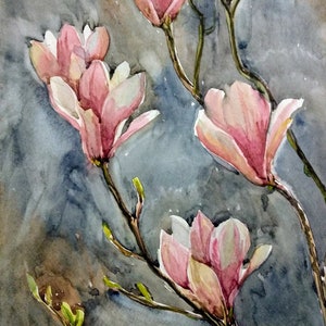 Spring flowers. Magnolia