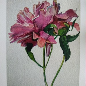cartão postal "flor do amor"