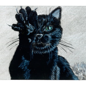 cat&#39;s paw. Black cat