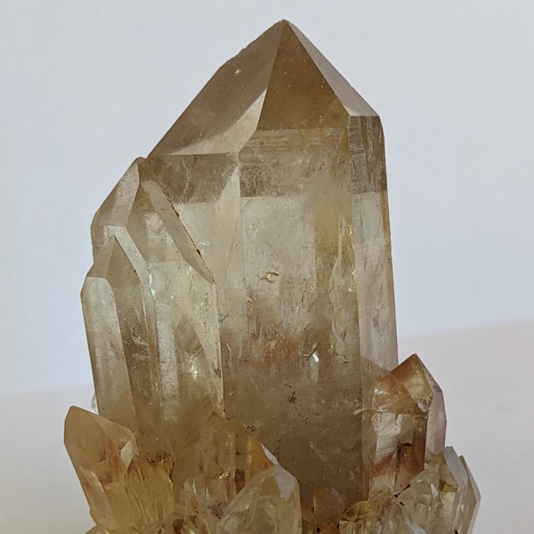 Kundalini Citrine Cathedral Artichoke Quartz Crystal Congo-Lightbrary-Unheated-Metaphysical Mineral Specimen #2209
